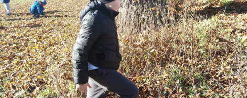 Zbiórka kasztanów dla Zuzi